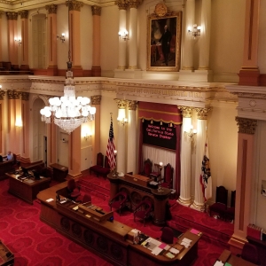 legislature