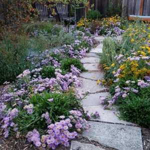 flower path