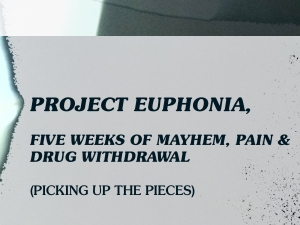 project euphonia cover
