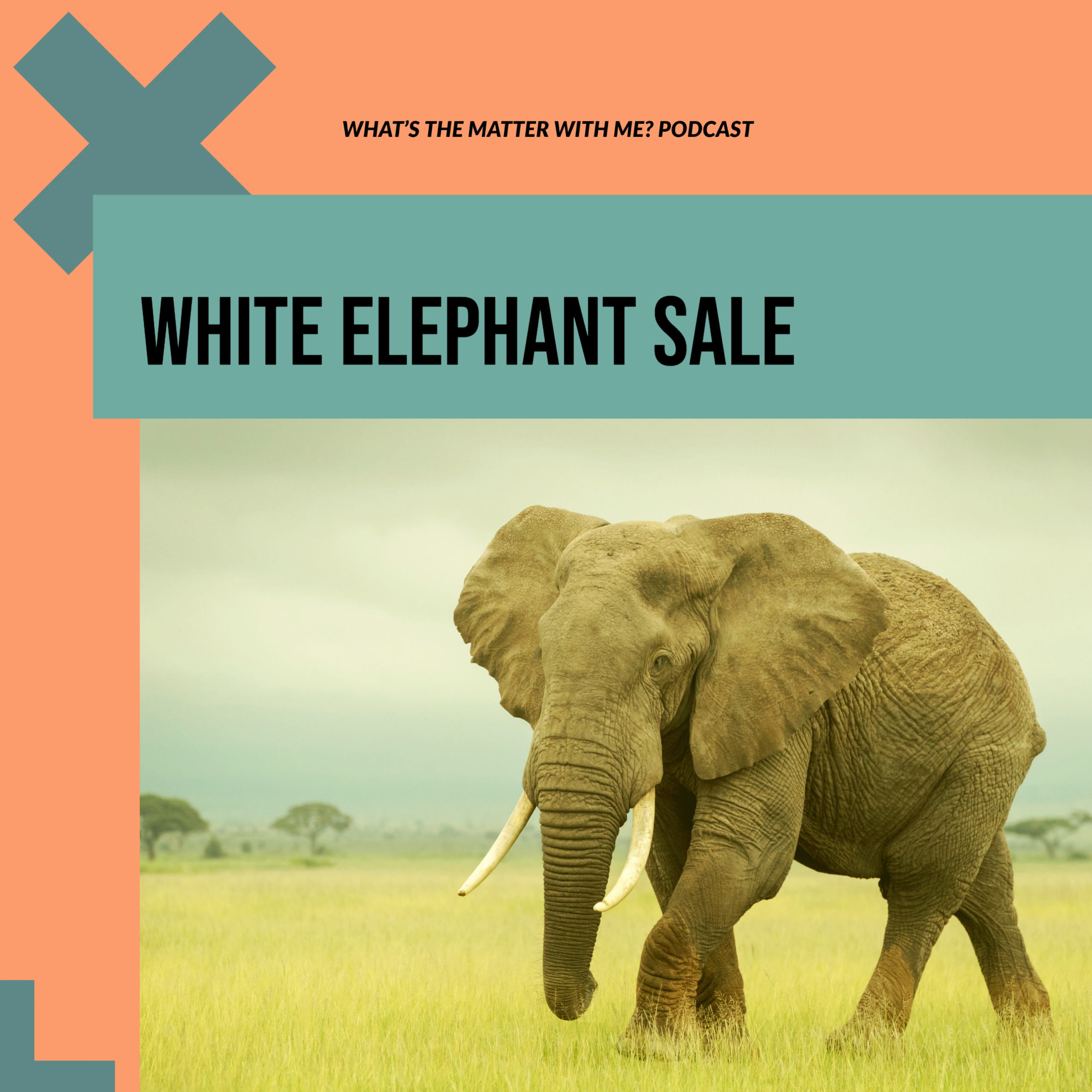 White Elephant Sale