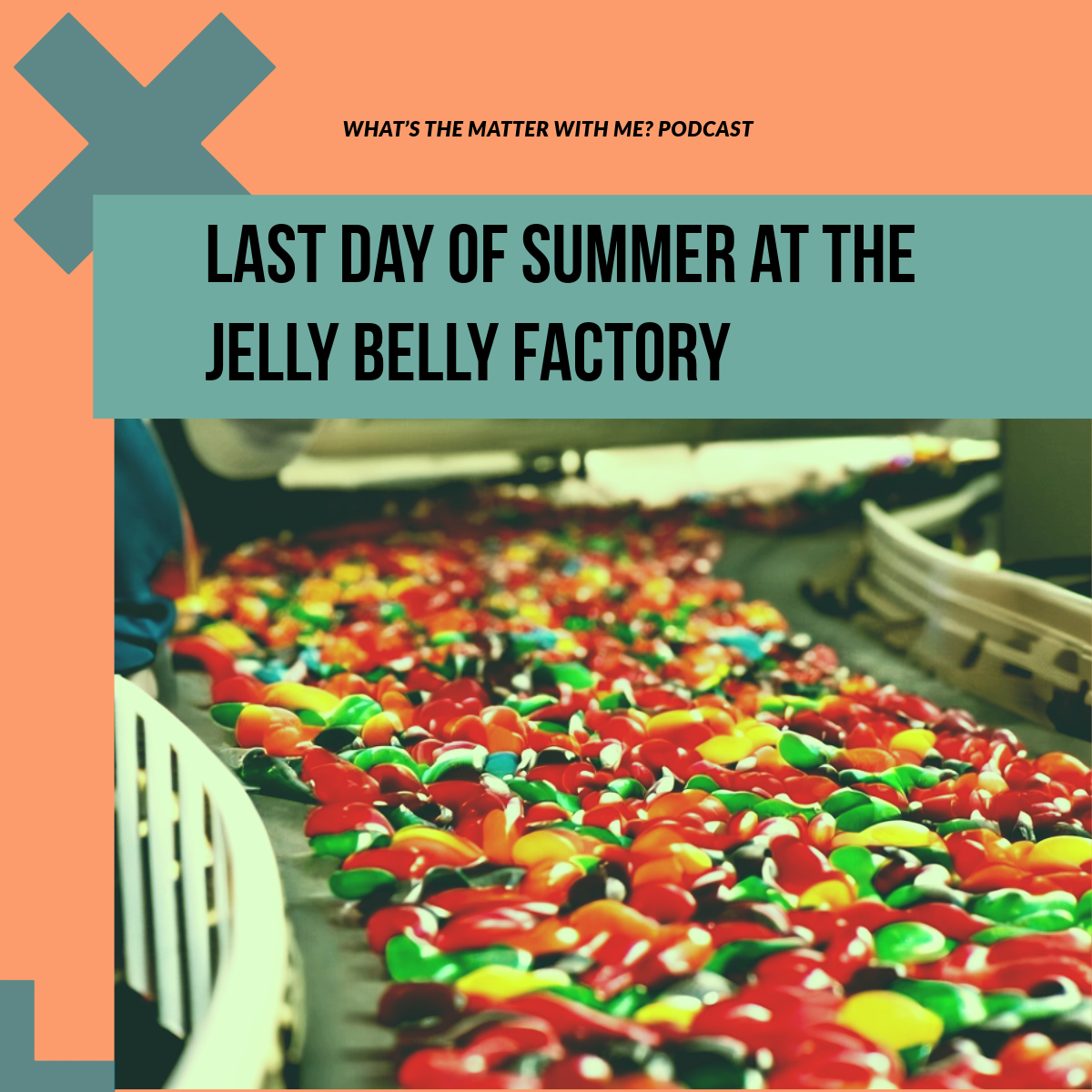 Last day of summer at the Jelly Belly factory