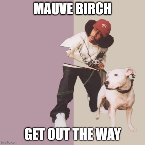 mauve birch meme
